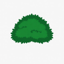 Tree canopy icon